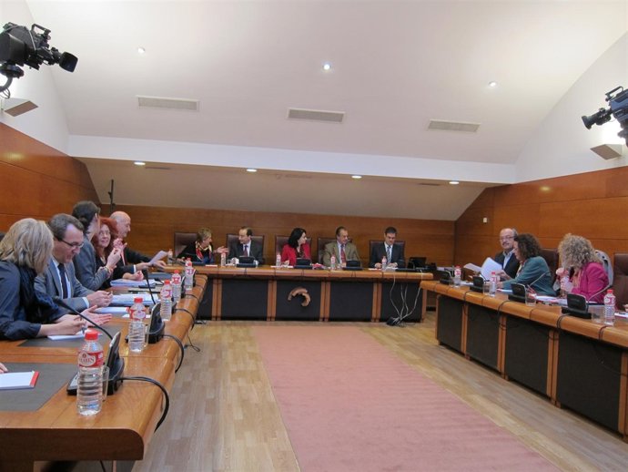 Comparecencia del consejero