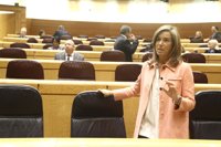 Mato admite que conocía el informe del Consejo de Estado hacía 6 meses e insiste en el diálogo antes de llegar al TC