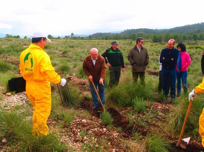 Repoblación ambiental en la Solana de la Sierra del Molino, en Calasparra    