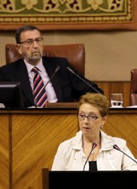 Junta defiende un presupuesto para 2013 "inclusivo", que "no se resigna ante la crisis", sino que se enfrente a ella