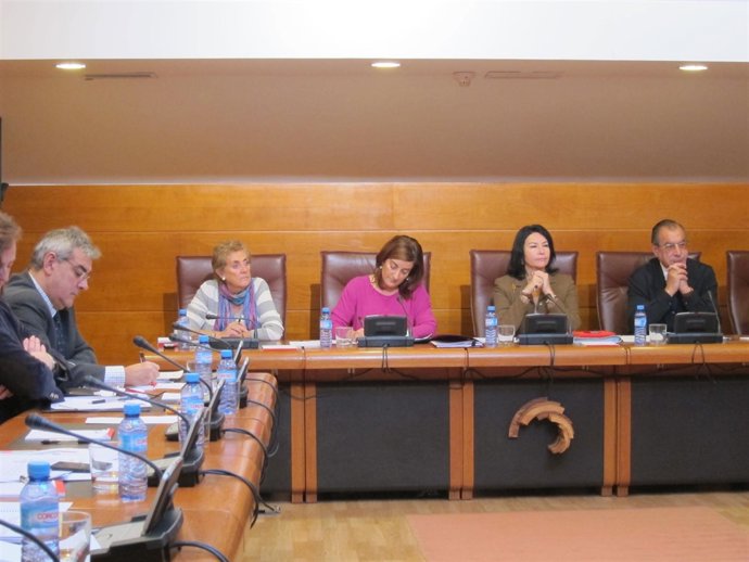 Saénz de Buruaga en la comparecencia