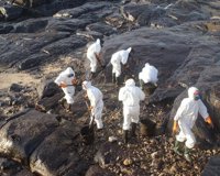 Los efectos de la marea negra desaparecieron en "elevado porcentaje", pero faltan "estudios a largo plazo"