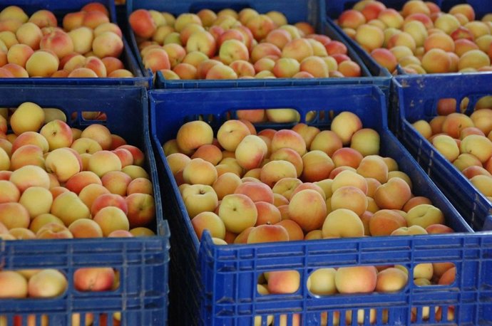 Albaricoques en MercoFraga