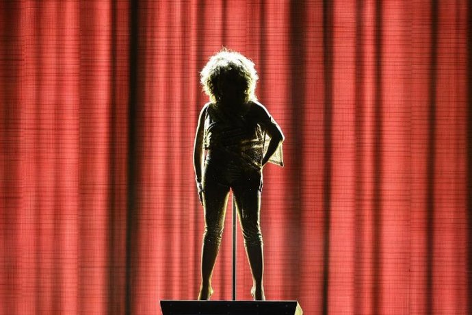 Silueta de Tina Turner en un concierto