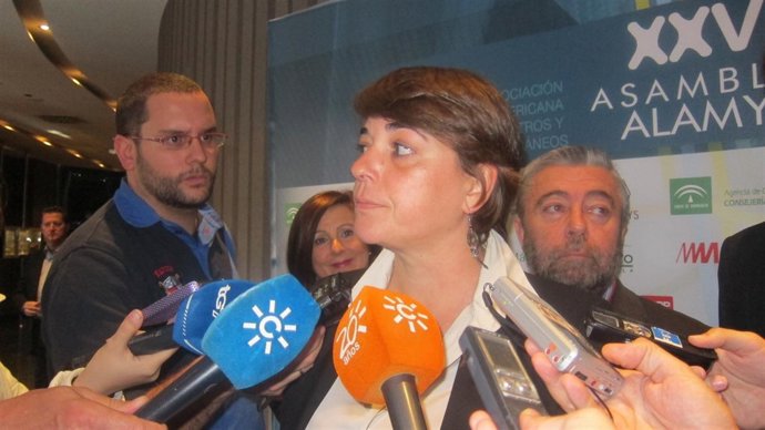 La consejera de Fomento y Vivienda, Elena Cortés.