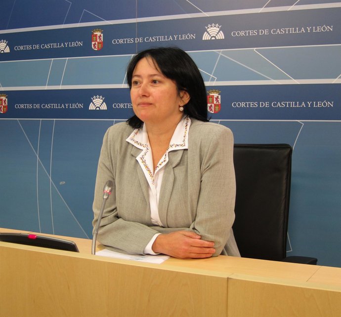 La portavoz en materia de educación no universitaria del PSCL, Ángela Marqués