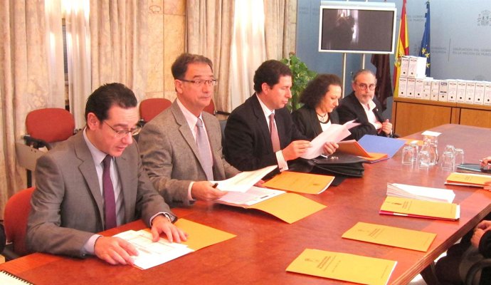 Reunión de la Comisión Mixta