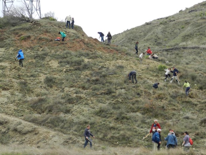 El Grupo Sesé realiza una jornada de reforestación en Castejón de Valdejasa