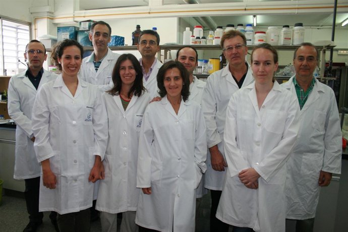 Grupo de investigación de Bioquímica del Envejecimiento de la US