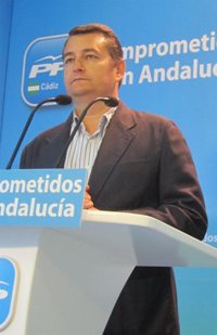 Sanz (PP) llama a la "responsabilidad" del PSOE y la Junta y pide que deje de ser "agitadora social" en Jerez
