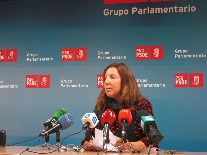 La coordinadora de Economía de la Ejecutiva del PSdeG, Carmen Gallego