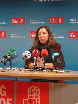 La coordinadora de Economía en la Ejecutiva del PSdeG, Carmen Gallego