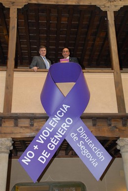 Presentación de la campaña en la Diputación