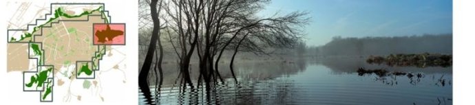 Humedales de salburua (vitoria)