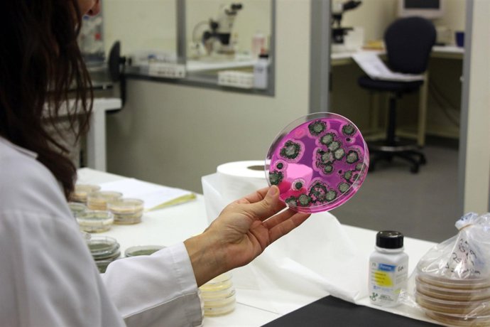 Investigación y Desarrollo en Andalucía.