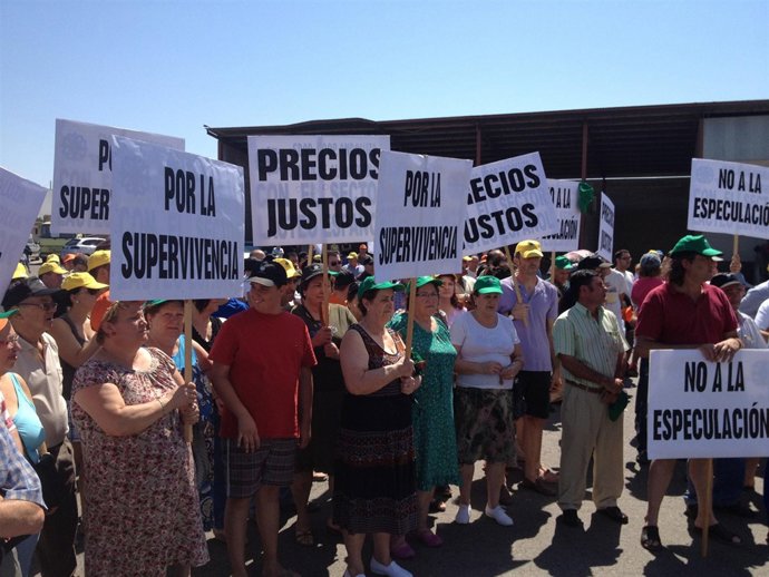 Concentración de ganaderos