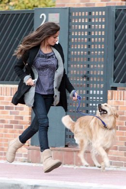 Sara Carbonero pasea a su perro