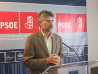 El PSOE estudia la posibilidad de impulsar una propuesta legislativa para "proteger" al pequeño comercio en Extremadura