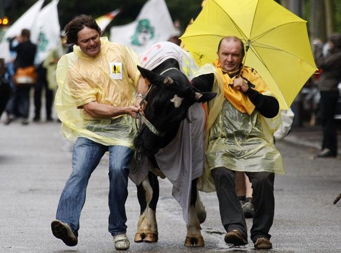 Ganaderos protestan en Estrasburgo