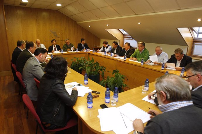 Reunión de la Comisión Executiva de la Fegamp