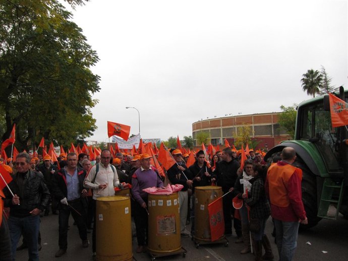 Manifestación UPA-UCE