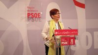 PSOE dice que estudiará "todas las posibilidades jurídicas" ante "vulneración" derechos fundamentales de ciudadanos