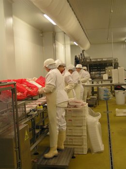 Industria del porcino