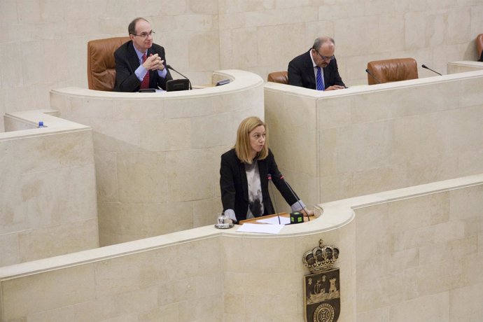 Pleno parlamento Mazas