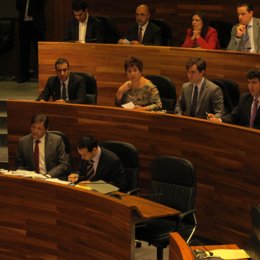 Pleno de la Junta General