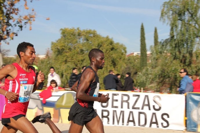 Cross Internacional de la Constitución