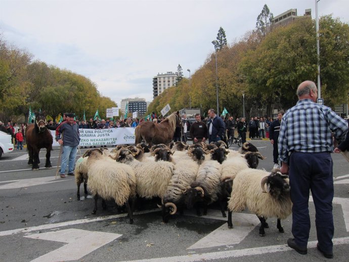 Manifestación de EHNE en Pamplona