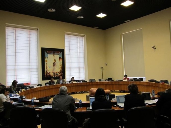 Comisión Del Parlamento De Galicia
