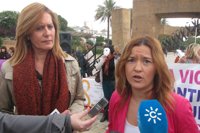 PSOE-A cree que Zoido, al criticar las políticas de Junta contra violencia de género, busca "tapar las vergüenzas" de PP