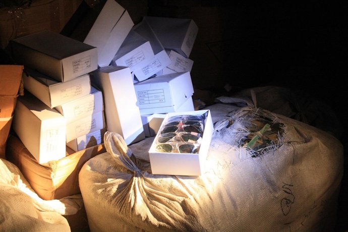 Efectos falsificados