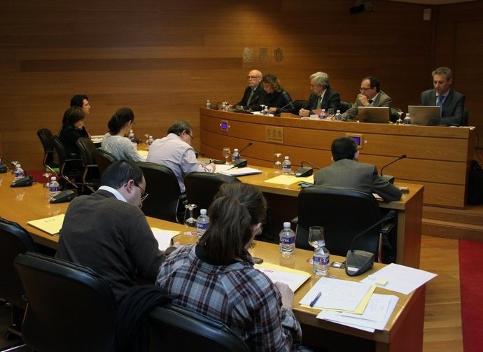 Olaya Pérez En La Comisión De La CAM