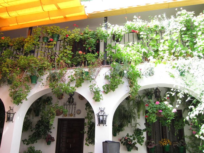 Patio De San Basilio, 22