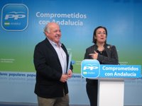 PP-A invita a Griñán a reflexionar sobre su "gran apuesta" por el federalismo cooperativo tras la caída del PSC