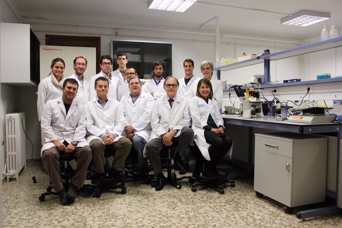 En la imagen, grupo de investigación de Ingeniería Tisular de Granada
