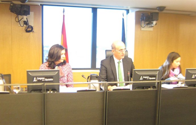 Carmen Librero, secretaria general de Transportes