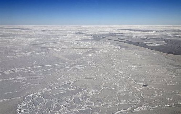 Microbios aislados en el hielo antártico
