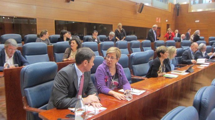 Tomás Gómez en el Pleno