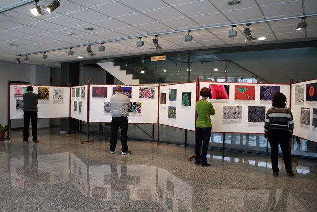 El Citius acoge una exposición con fotos del Concurso Fotografía Al-NanoPhoto