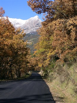 Un tramo de la carretera entre Seira y Barbaruens, mejorado por la DPH