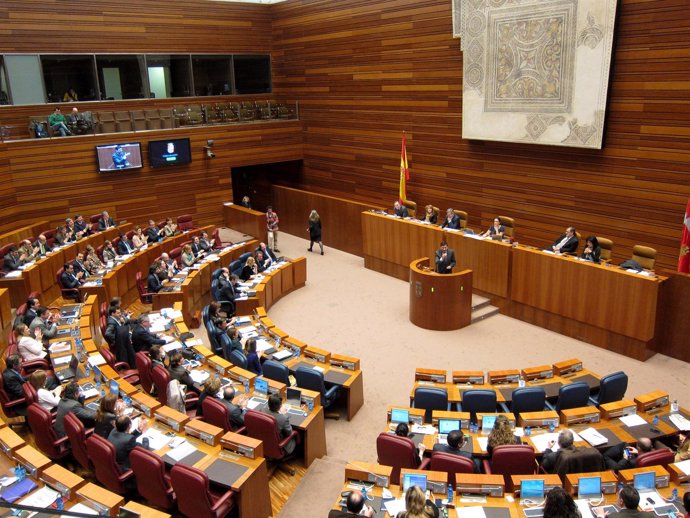 Pleno De Las Cortes De Castilla Y León.