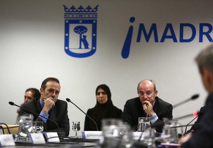 Comisión de investigación del Madrid Arena