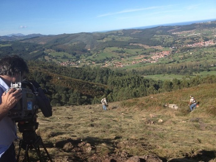 Plantación de árboles