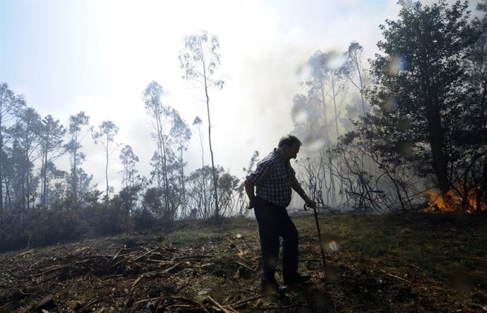 Incendio En Fragas Do Eume