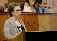 Aguayo cifra en 256,6 millones el ajuste en la financiación presupuestaria del sector público de la Junta para 2013