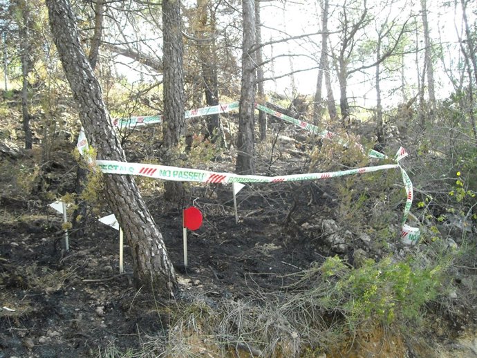 Uno de los incendios en Torrelles de Foix