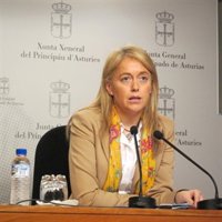 Foro propone al Principado recurrir ante el Constitucional la Ley de tasas judiciales
